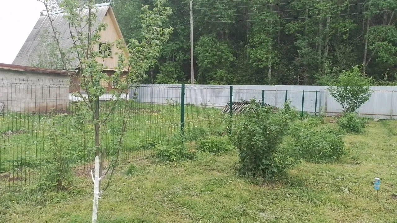 3D-сетка